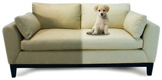 Porque devo limpar meu sofá? Saiba os benefícios! - TN Clean - Limpeza e  impermeabilizante de estofados